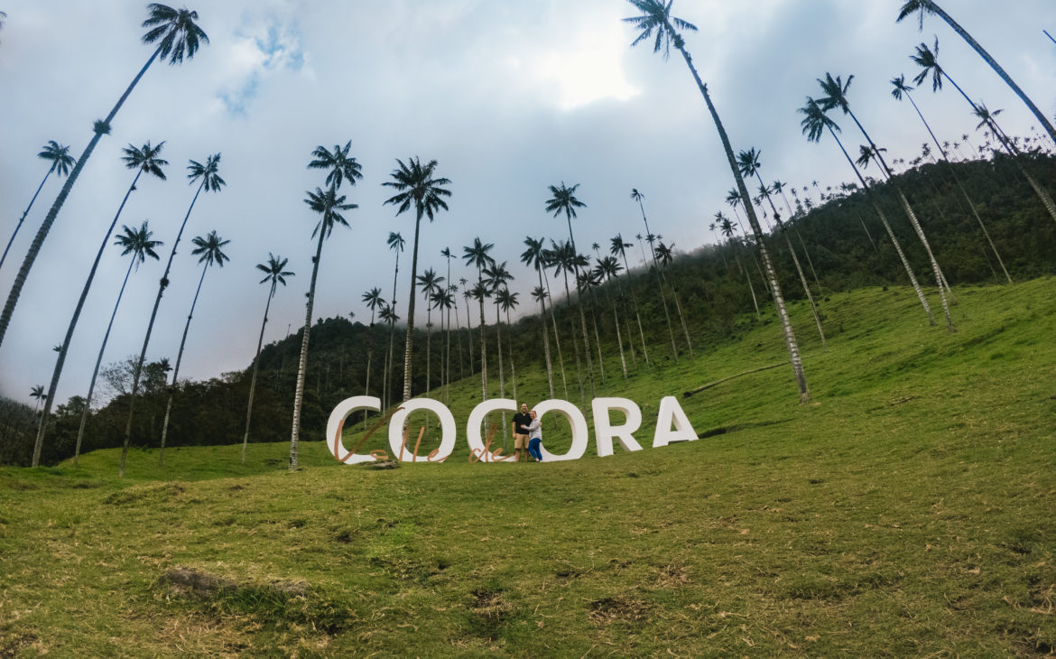 Colombie : Palmiers géants de la vallée de Cocora à Salento