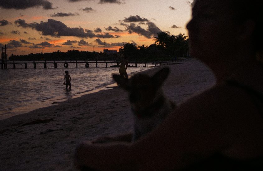 Un coucher de soleil sur la plage avec notre chihuahua Mlle Charlotte.