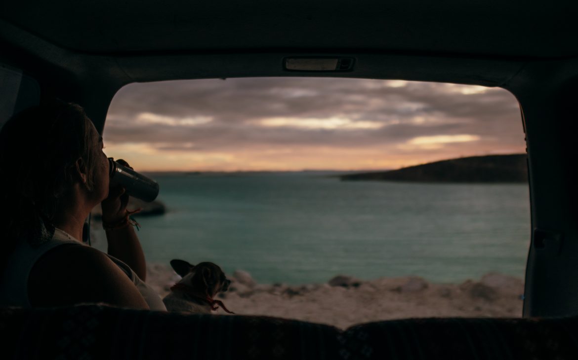 Sunset La Paz avec un chihuahua - Nomade Amoureux
