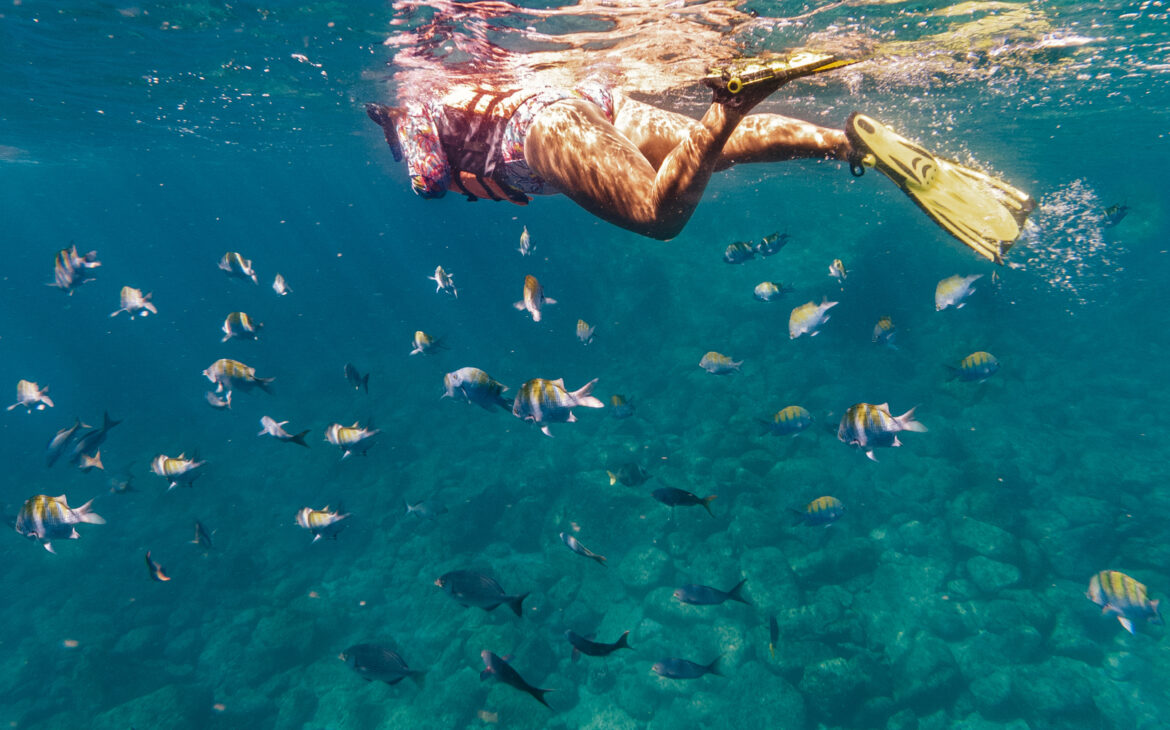 vicky de Nomade Amoureux en snorkeling autour de centaines de poissons. 
