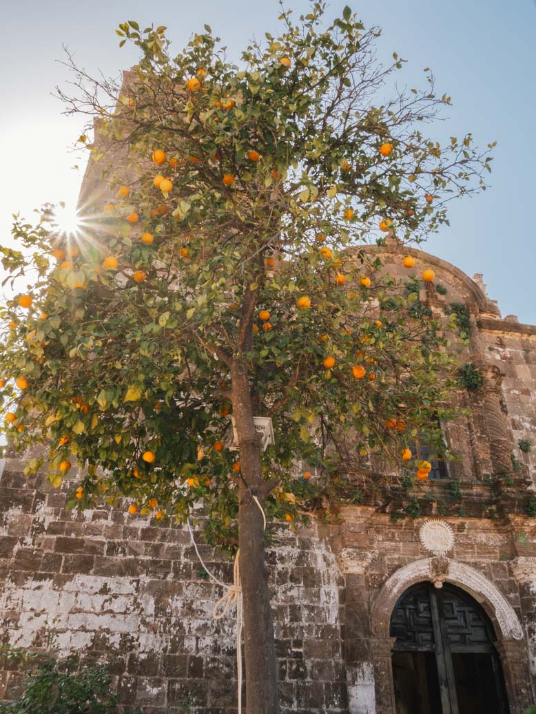 Arbre avec orange devant une église époque colonial - Nomade Amoureux