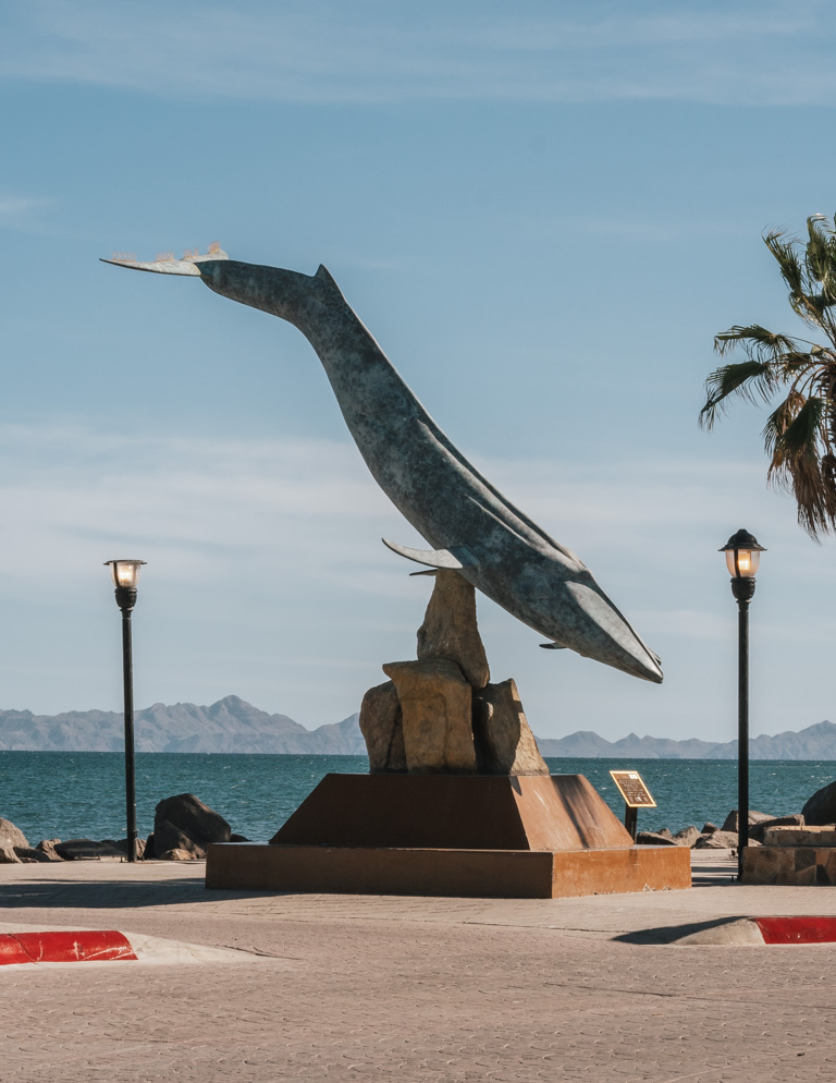 Statue d'une baleine bleue au Mexique - Nomade Amoureux