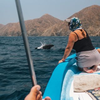 Jouer avec des dizaines de dauphins au «#Mexique #bajacaliforniasur ! Des moments magiques passés avec notre grande fille la semaine dernière ! On lui a fait découvrir notre petit coin secret ! C’est lors de cette 3e sorties en mer que nous avons croisé un POD de centaines de dauphins et de raies Mobula, Il y a quelques semaines, nous avons aussi croisés des #orques ! #lesvraissavent 😂 J’en parle encore ! 

#dauphins #seaofcortez #seafari #bajacalifornia #lapazbcs #expat #québec #montréal #lifestyle #dolfins #boatlife #snorkeling #workhardplayhard #dreamlife #merdecortez #bajalife